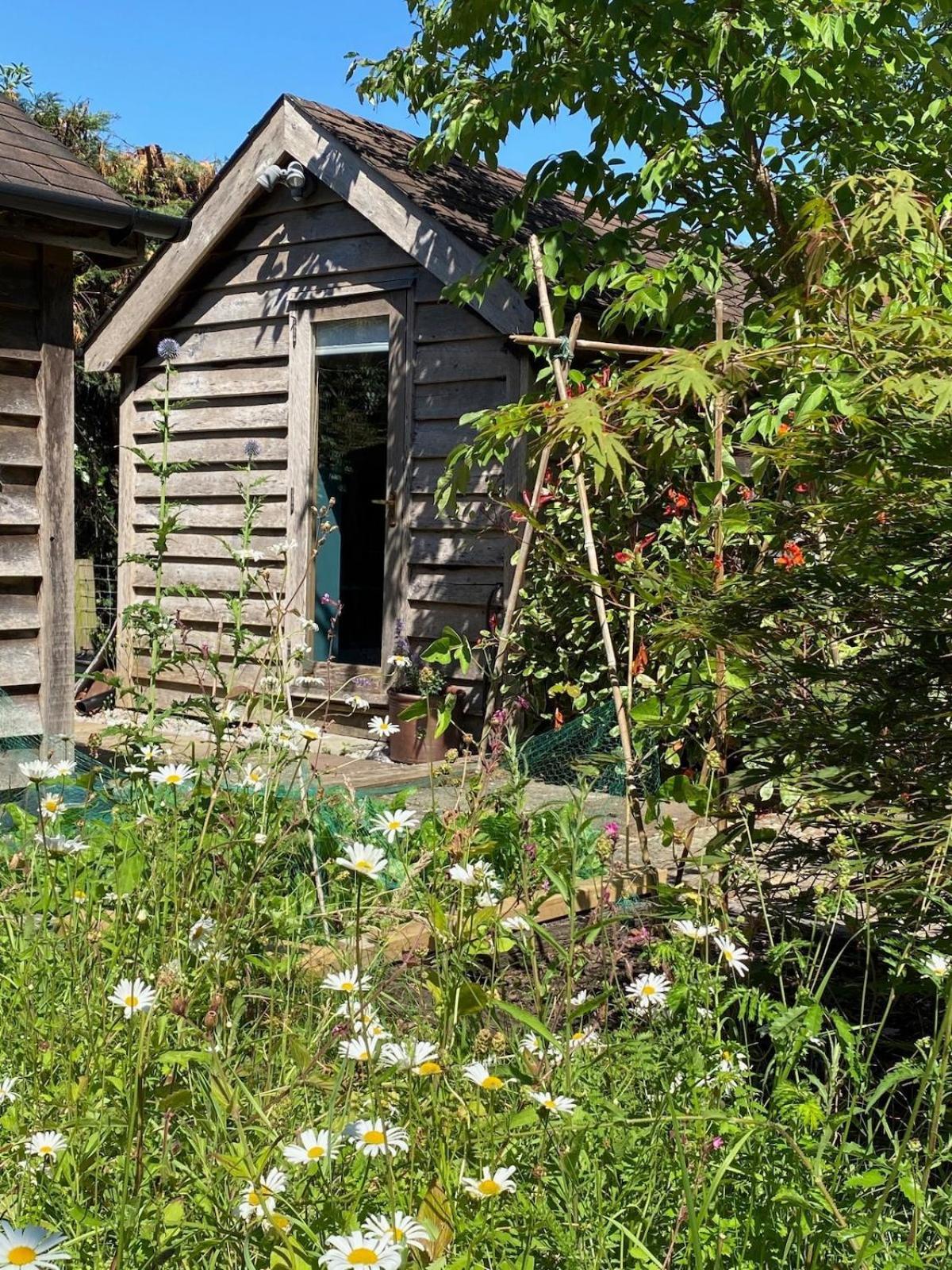 The Tool Shed Nestled In Idyllic Countryside Villa Linchmere Eksteriør bilde