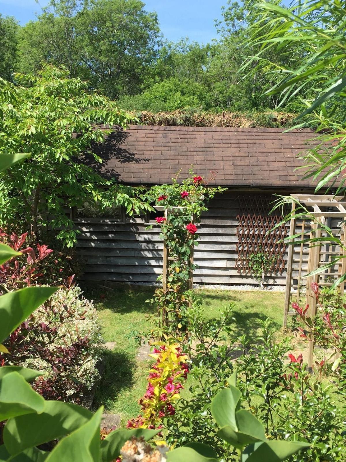 The Tool Shed Nestled In Idyllic Countryside Villa Linchmere Eksteriør bilde