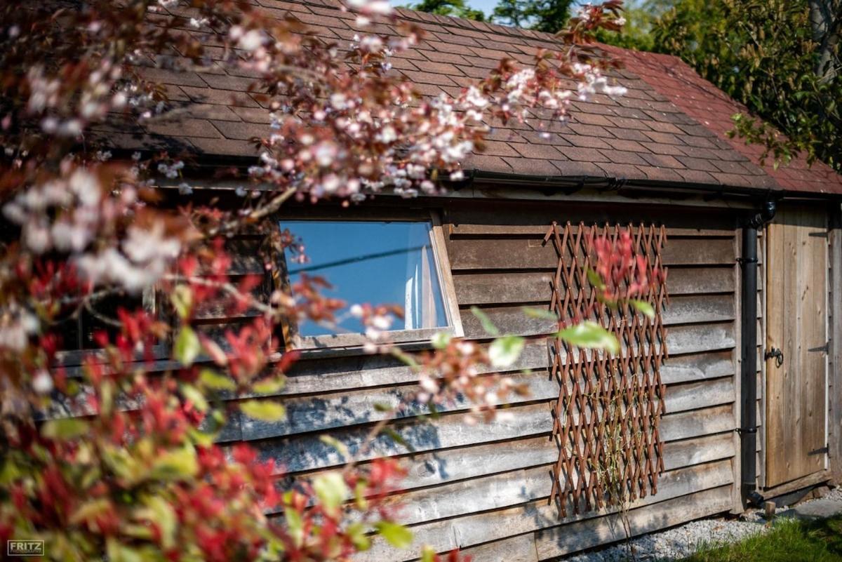 The Tool Shed Nestled In Idyllic Countryside Villa Linchmere Eksteriør bilde