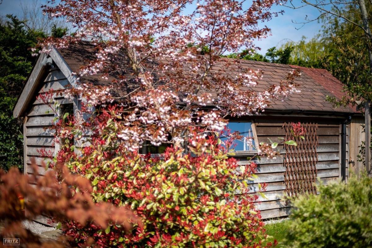 The Tool Shed Nestled In Idyllic Countryside Villa Linchmere Eksteriør bilde